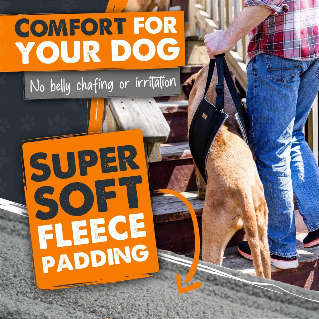 Dog Lift Harness L83868