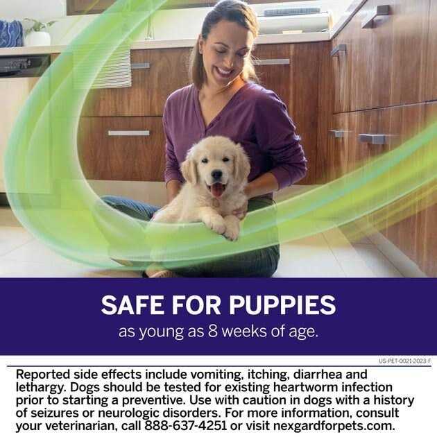 Chew for Dogs K979455