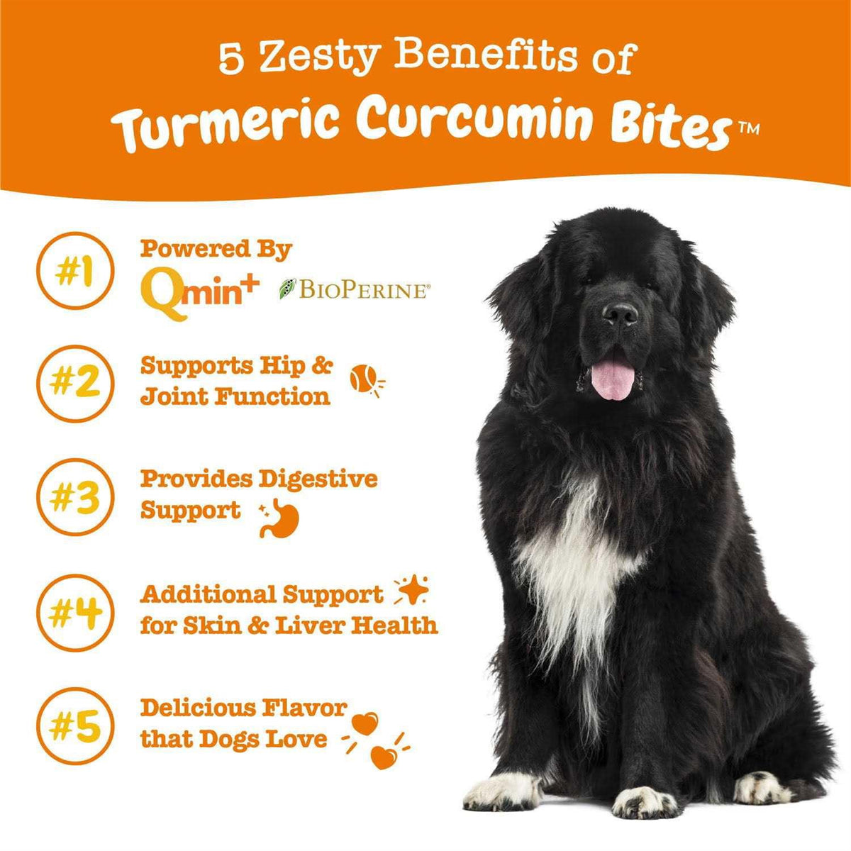Turmeric Curcumin Bites for Dogs X27575