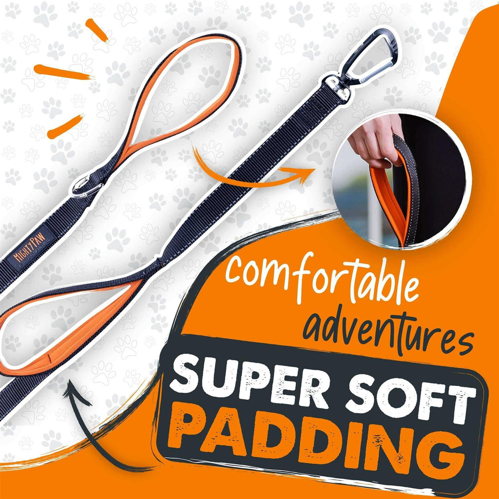Dual Handle Dog Leash R634657