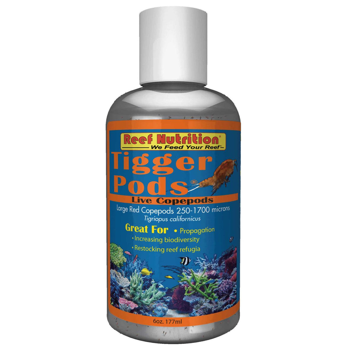Tigger Pods K16940