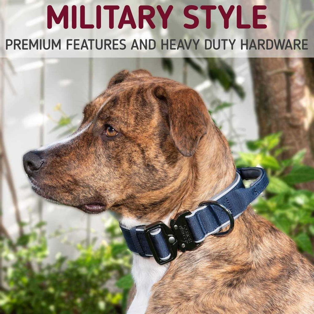 Adjustable Heavy-Duty Dog Collar with Handle Q2424
