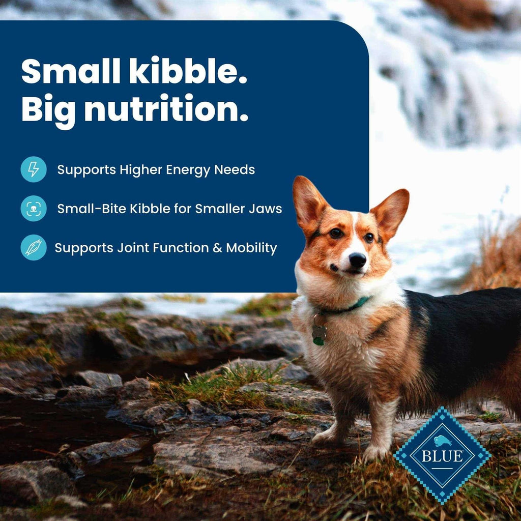 Small Breed Adult Lamb & Brown Rice Recipe Dry Dog Food G499612