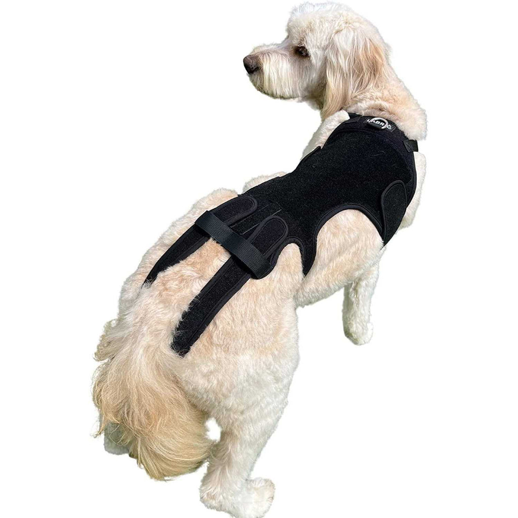 Dog Back Brace N815