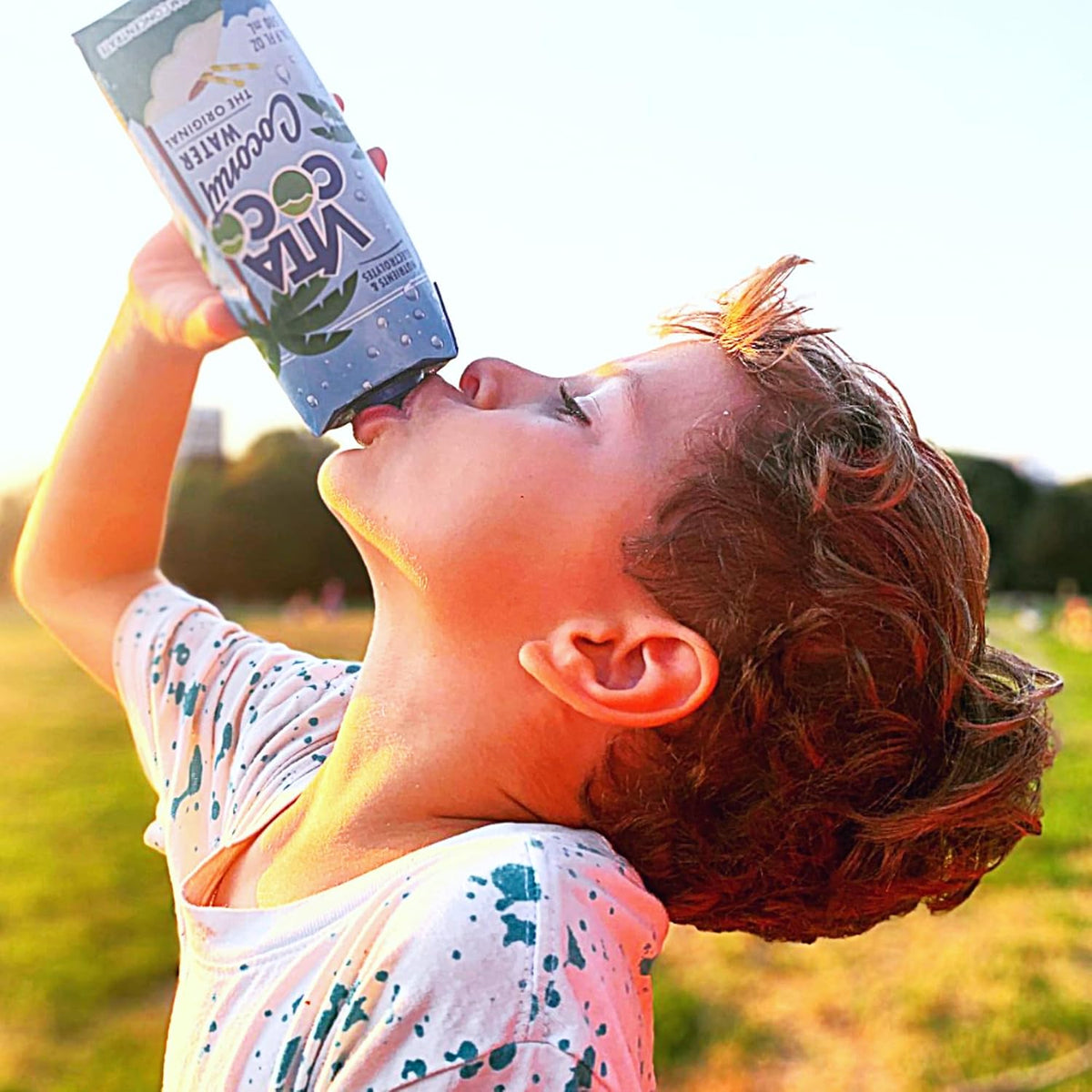 Coconut Water 11.1 Fl Oz Pack of 7 Z588063