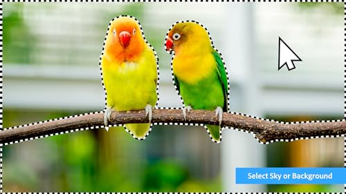 Photoshop Elements 2024 & Premiere Elements 2024 PC Code Software O120230