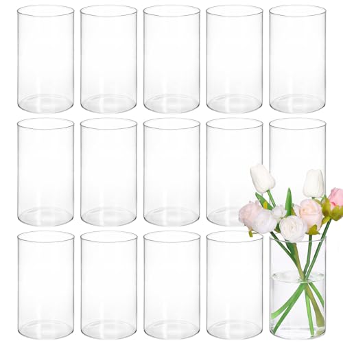 15pcs Clear Glass Cylinder Vases P165