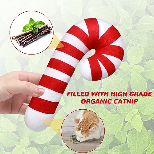 4 Pcs 8 Inch Catnip Cat Chew Toy X850599