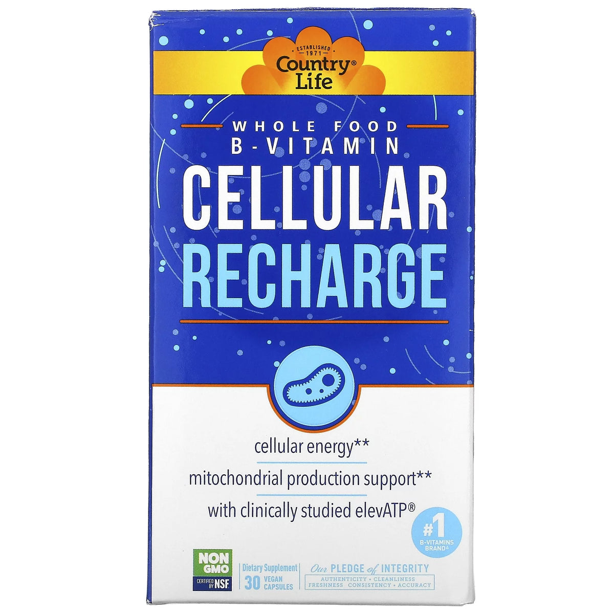 30 Vegan Capsules B-Vitamin C801