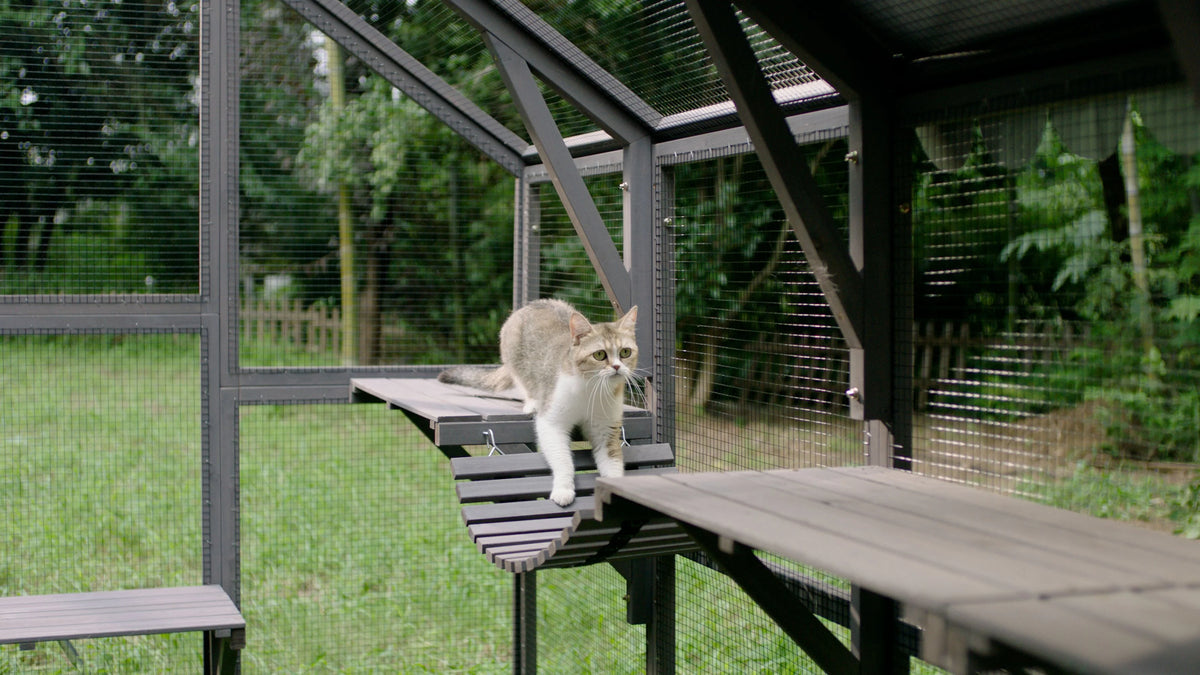 110'' Extra Large Wooden Catio Cage with Roof Cover F239