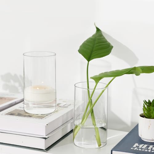15pcs Clear Glass Cylinder Vases P165