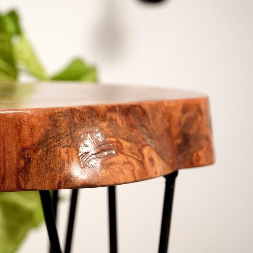 Walnut Live Edge Solid Wood Round Coffee Table (24") X88164