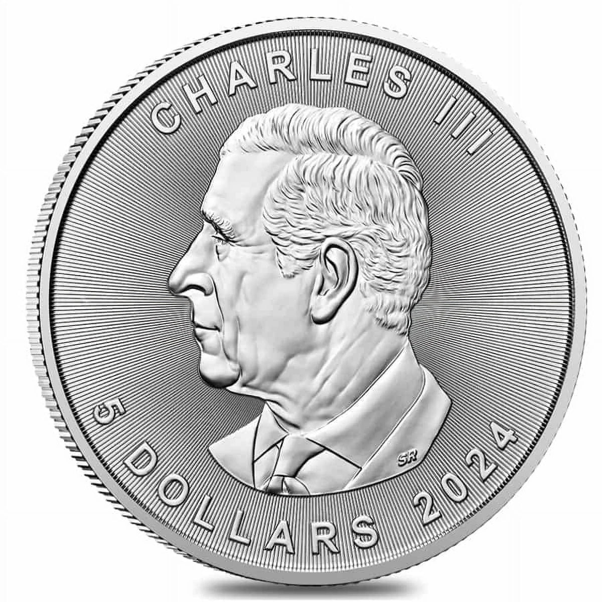 25 - 1 oz Canadian Silver Maple Leaf Coin Y61384