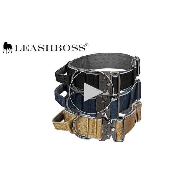 Adjustable Heavy-Duty Dog Collar with Handle Q2424