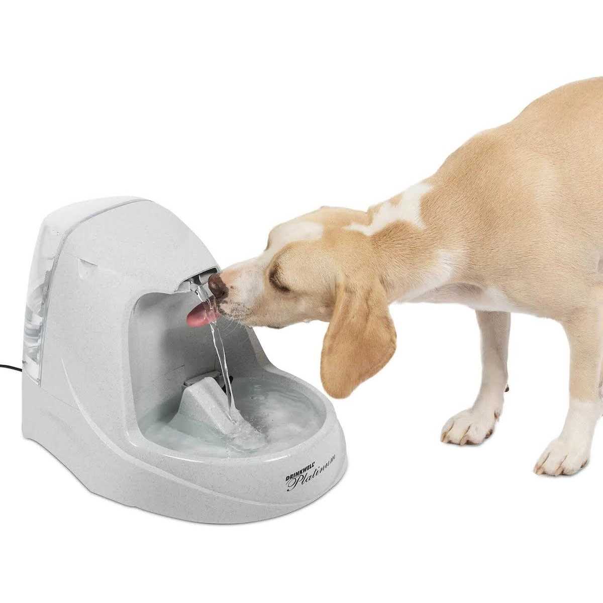 Pet Fountain W537