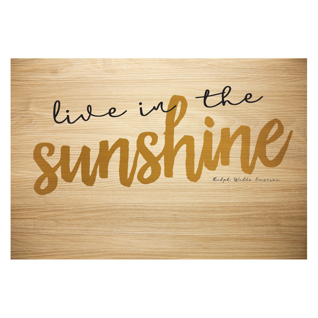 Light Brown Rectangular Non Slip Doormat B556