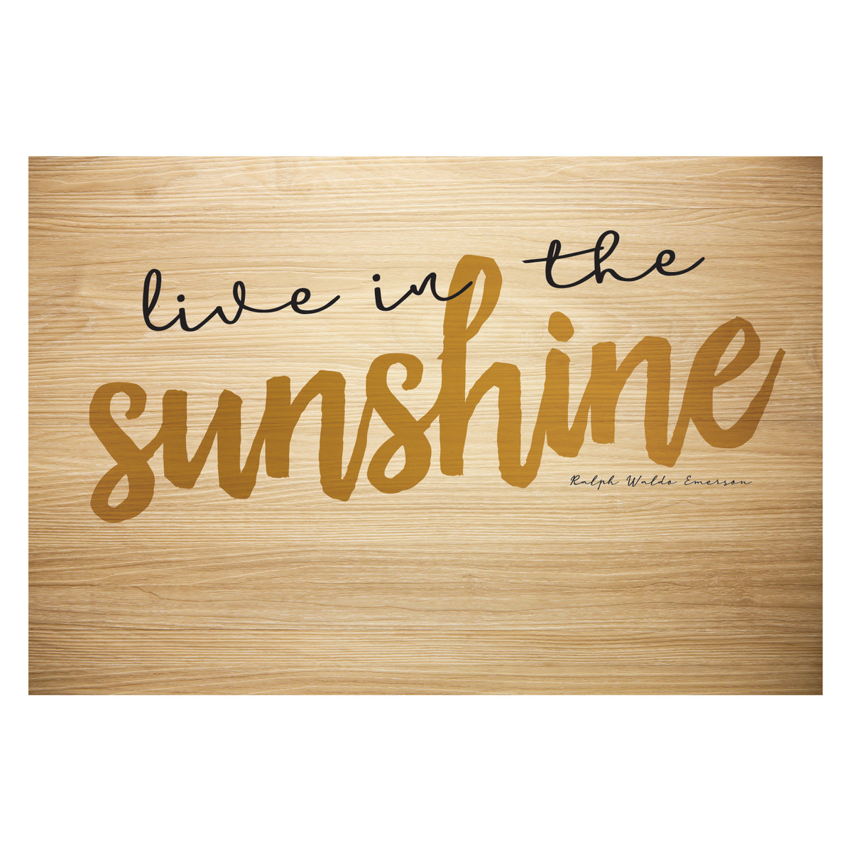 Light Brown Rectangular Non Slip Doormat B556