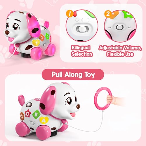 Bilingual Musical Learning Toy with Music Light Q61233