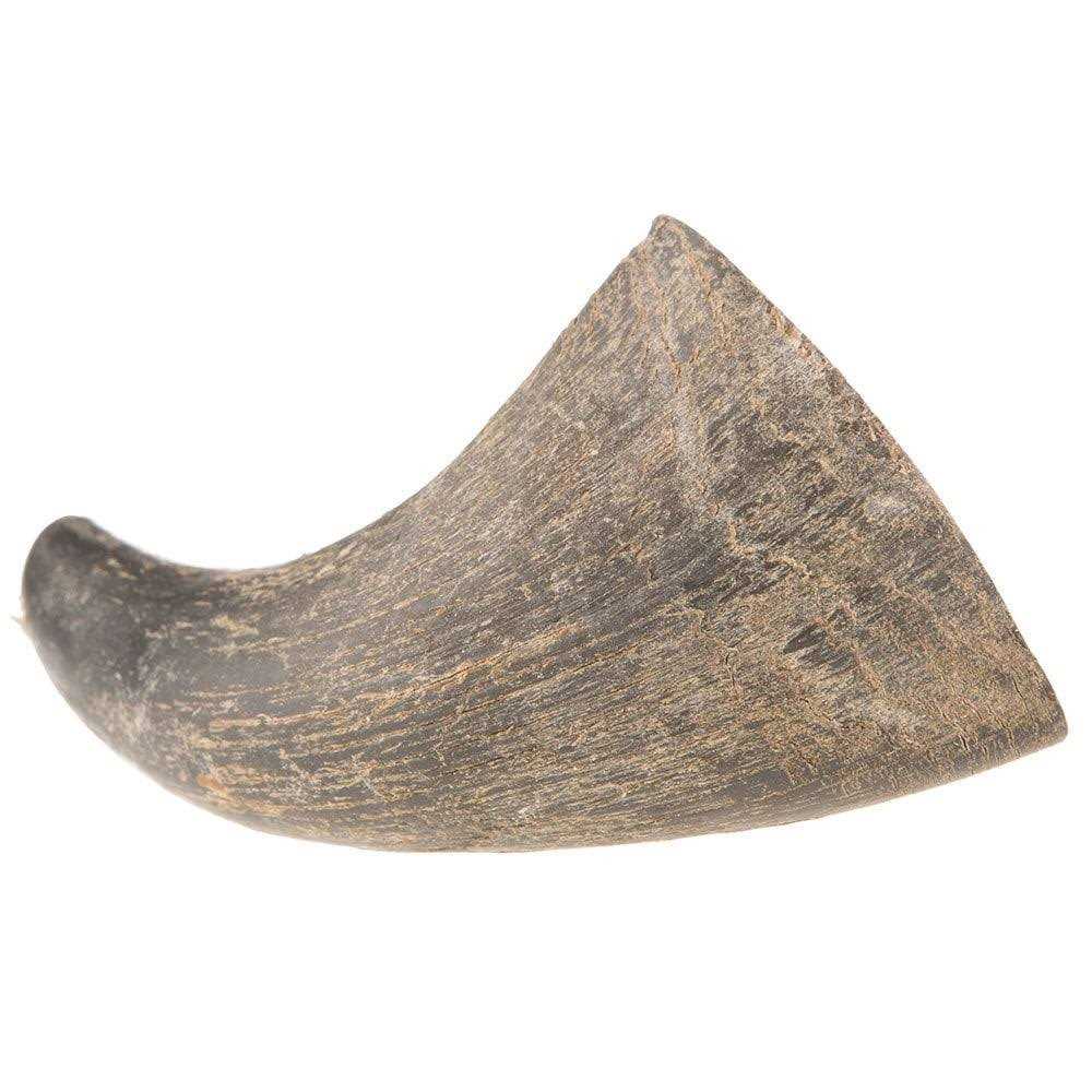 Dog Water Buffalo Horn Small W233