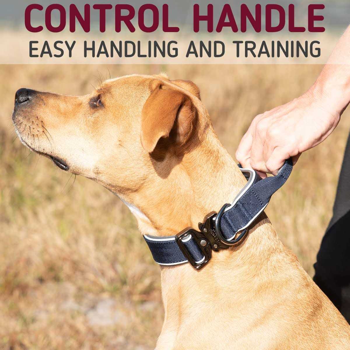 Adjustable Heavy-Duty Dog Collar with Handle Q2424
