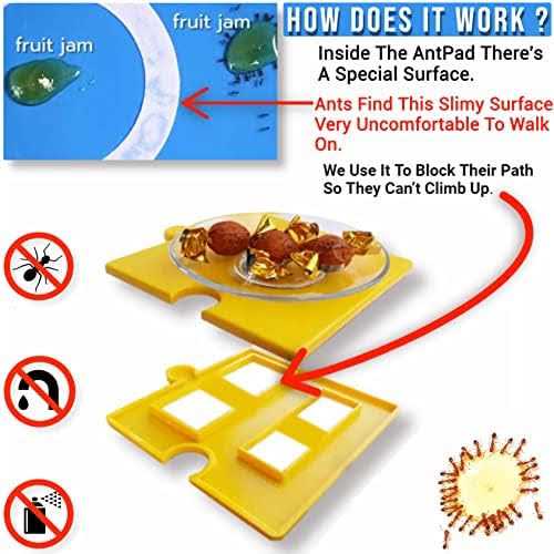 Ant Proof Pet Bowl E689259