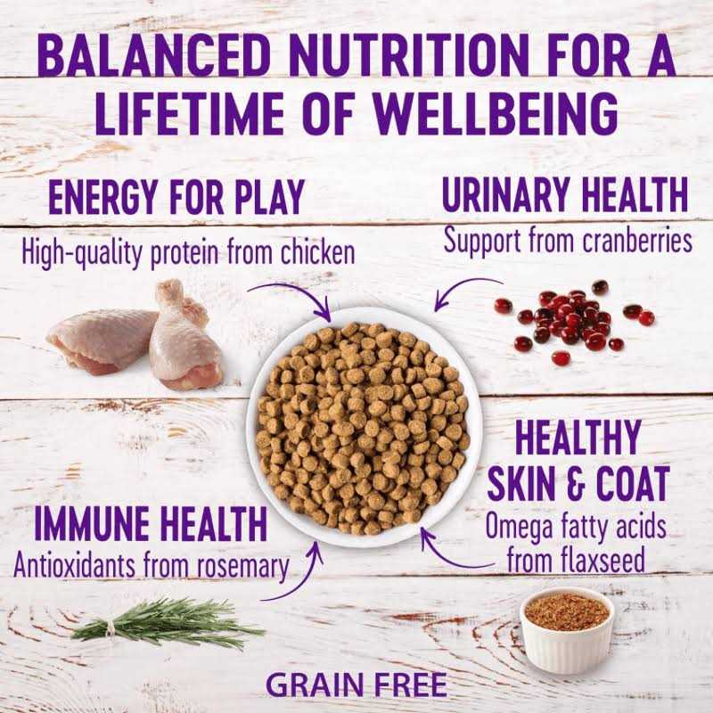 Grain Free Senior Dry Cat Food T228
