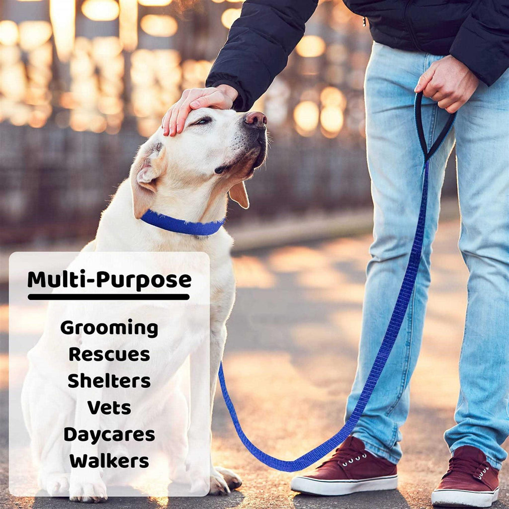 Dog Slip Lead Dog Leash C573309