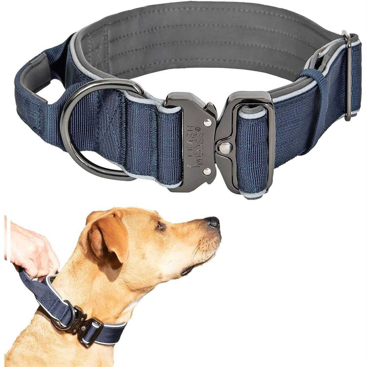 Adjustable Heavy-Duty Dog Collar with Handle Q2424