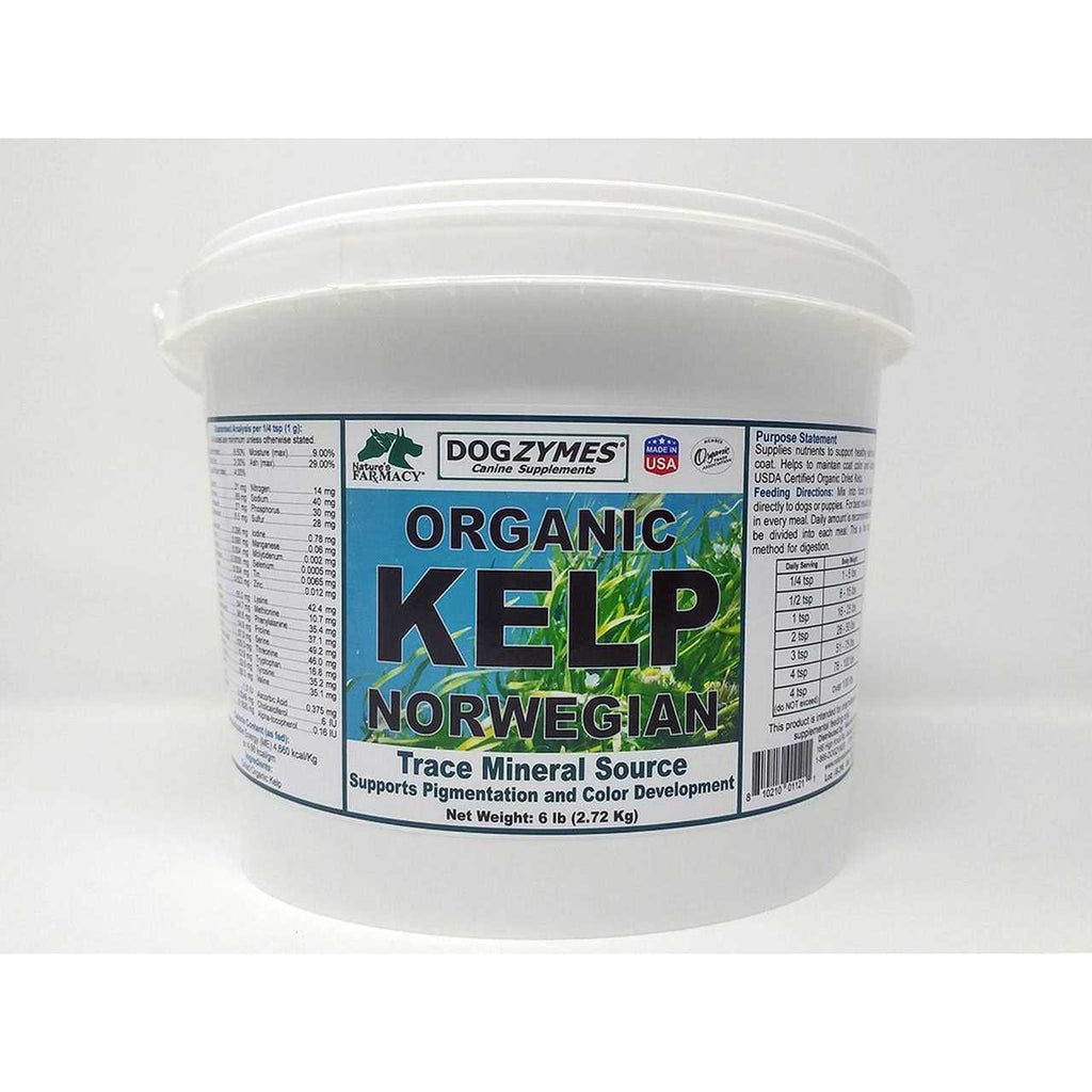 Organic Norwegian Kelp for Pets Y98426