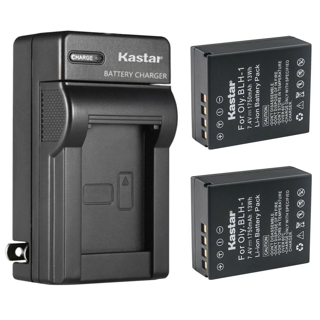 2-Pack Battery and AC Wall Charger P7057