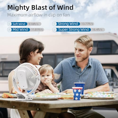 10000mAh 8-Inch Rechargeable Clip on Fan, 4 Speeds W231