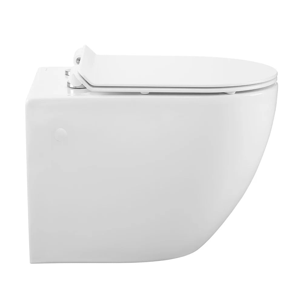 Wall Hung Toilet Bowl X6262