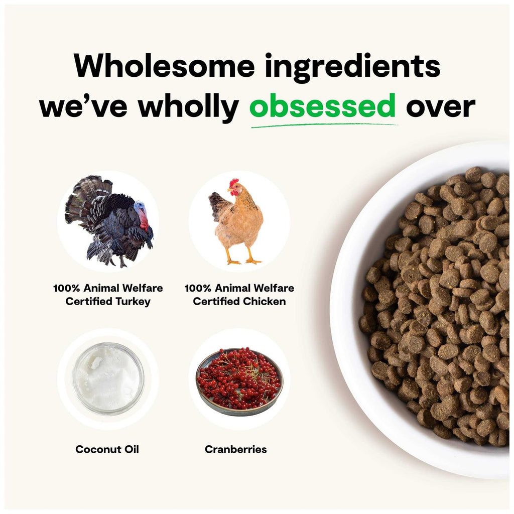 Grain Free Kitten Recipe L24385