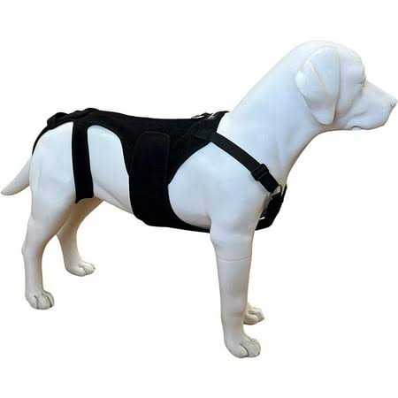 Dog Back Brace N815
