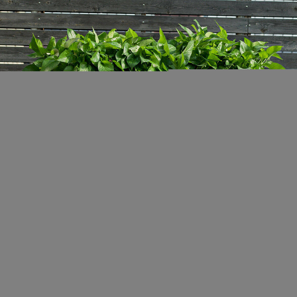Raised Garden Bed with Storage Shelf Y89585