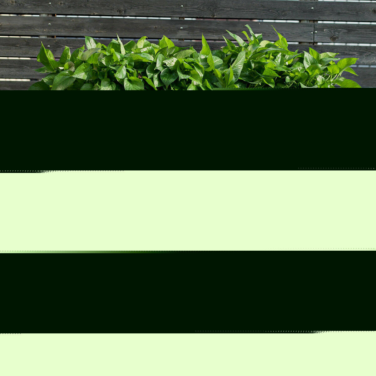 Raised Garden Bed with Storage Shelf Y89585