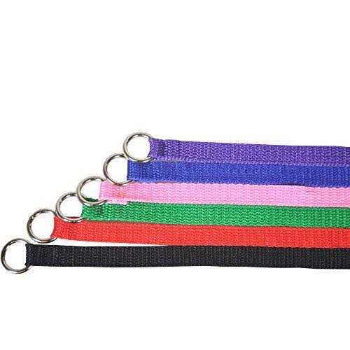 Dog Slip Lead Dog Leash C573309