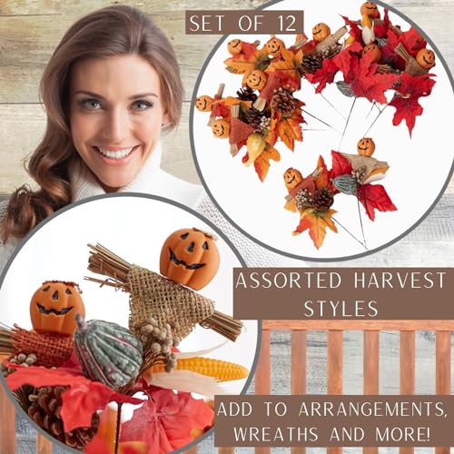 Set of 12 Assorted Pumpkin Face Picks 8-1/2 Inches High L731317