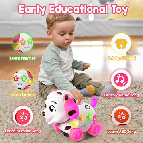 Bilingual Musical Learning Toy with Music Light Q61233