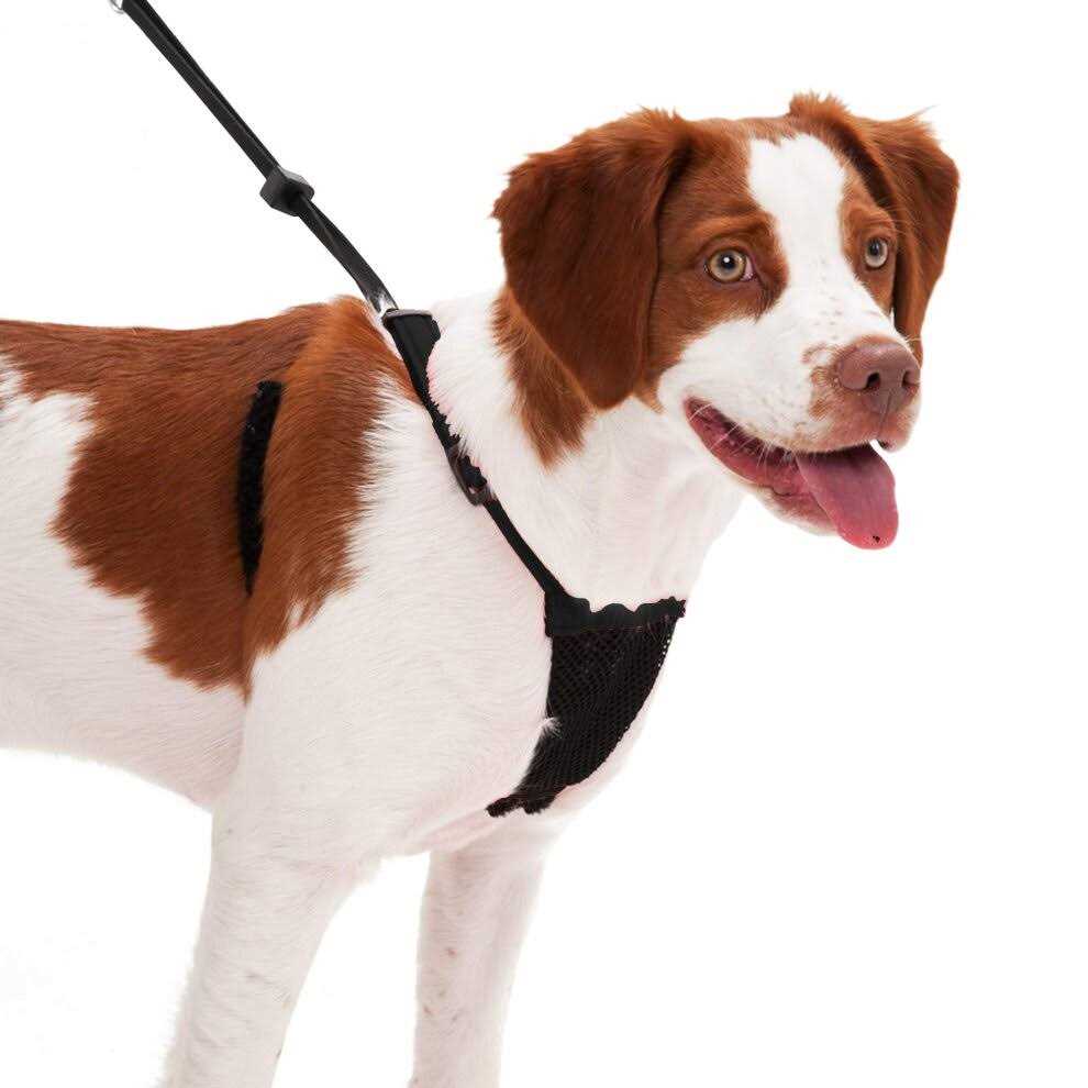 Mesh Non Pull Dog Harness J229777