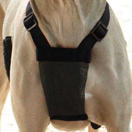 Mesh Non Pull Dog Harness J229777