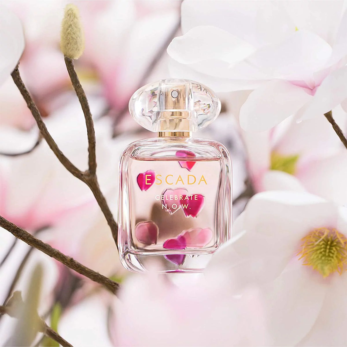 EDP Spray 1.6 oz J436144
