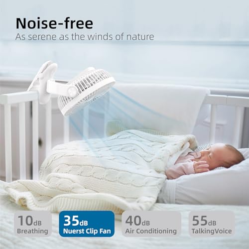 10000mAh 8-Inch Rechargeable Clip on Fan, 4 Speeds W231