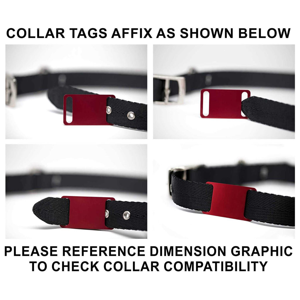 Slide-On Pet ID Tag N719443