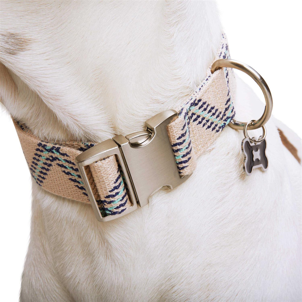 Zig Zag Dog Collar B39050