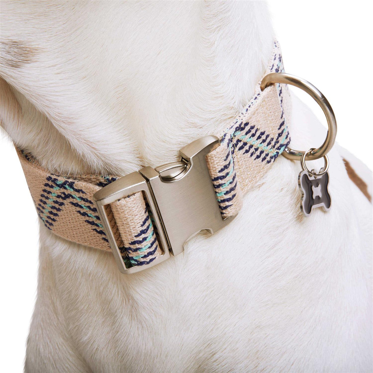 Zig Zag Dog Collar B39050