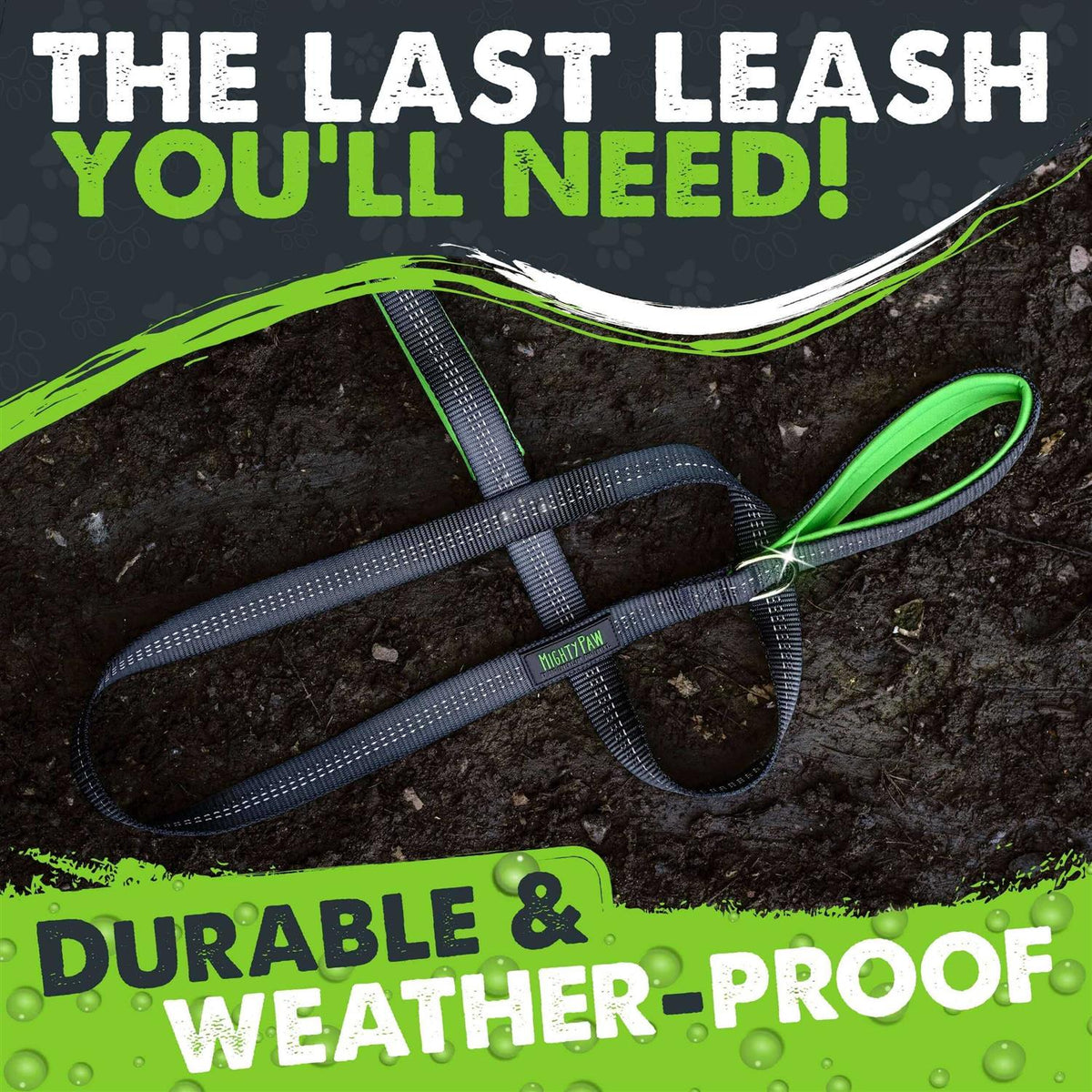 Dual Handle Dog Leash R634657